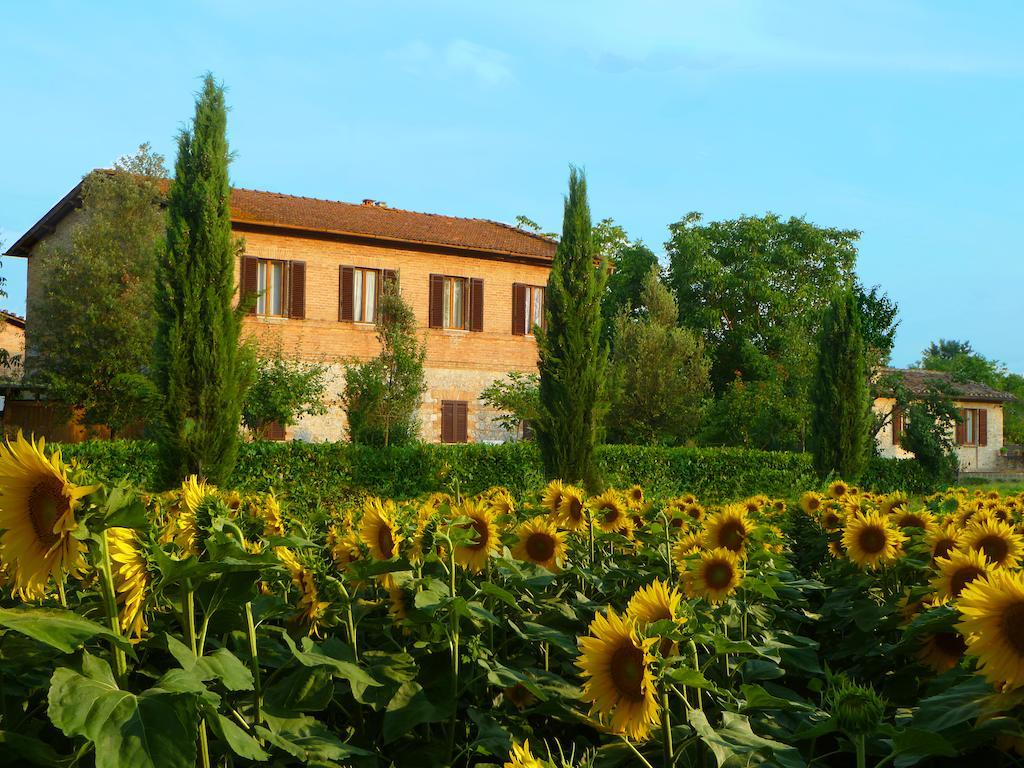 Agriturismo Santa Giuditta Sovicille Esterno foto